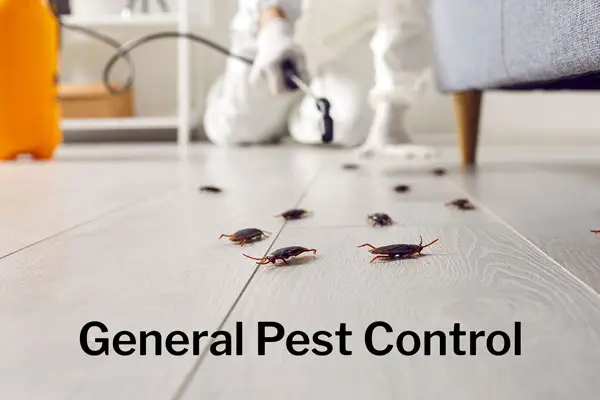 General Pest Control